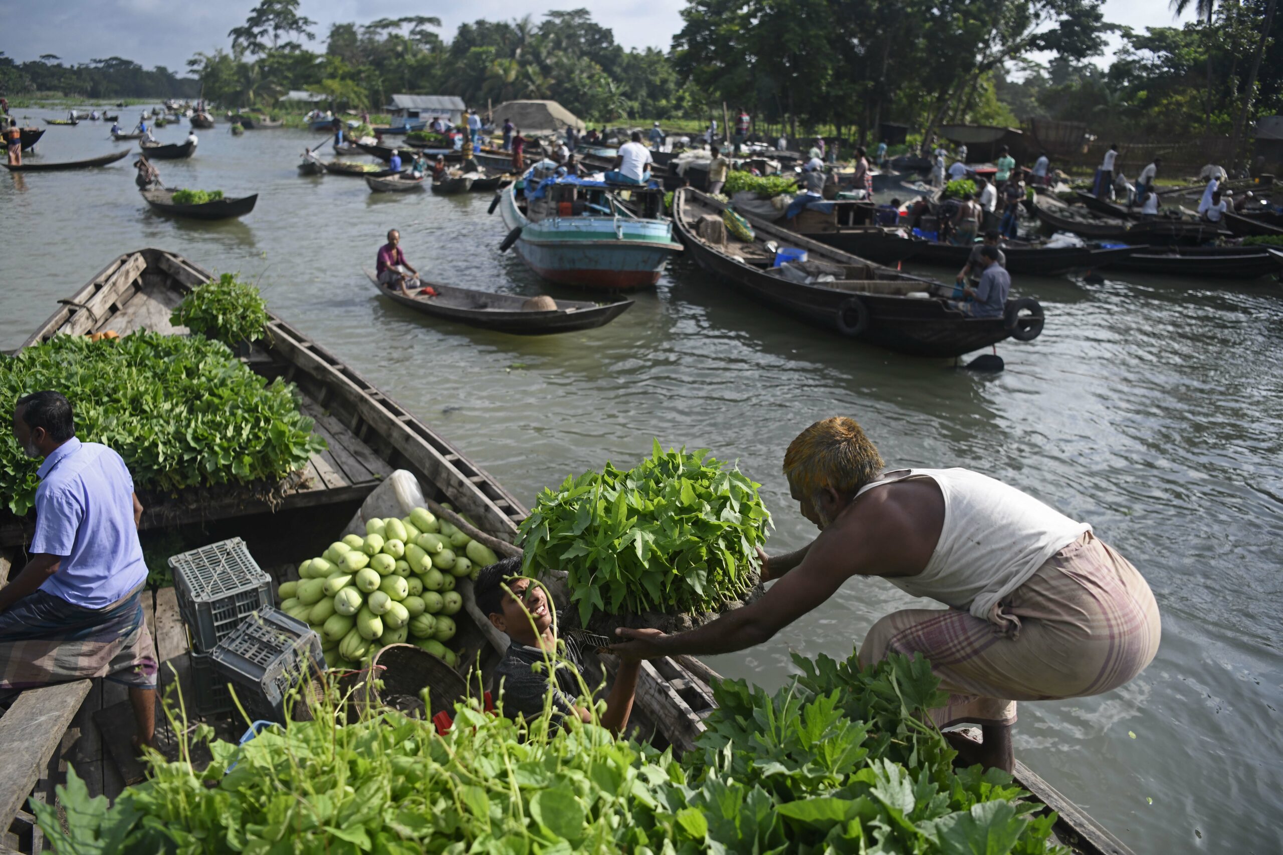 Farmers bring their fresh produce and seedlings to the biweekly floating market on the Belua River to sell to agents.